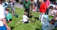 Tree Planting to mark the Late Queen's Sixtieth year on the Throne in 2012